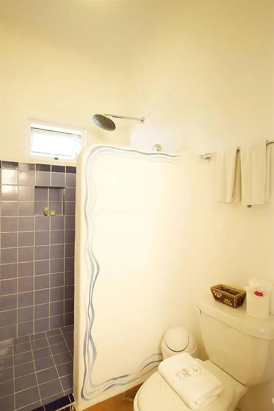 Aqualuna Boutique Hotel By Sunrise (Adults Only) Playa del Carmen 3*,