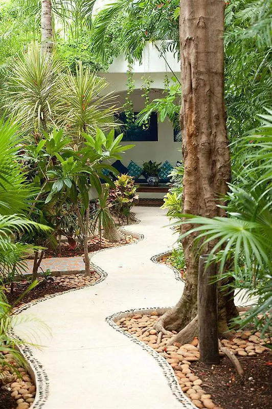 Aqualuna Boutique Hotel By Sunrise (Adults Only) Playa del Carmen 3*,  Mexico